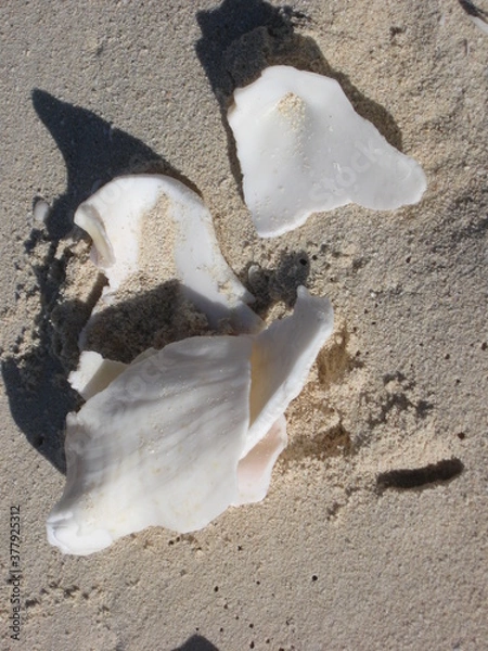 Obraz Mexiko - Cancun