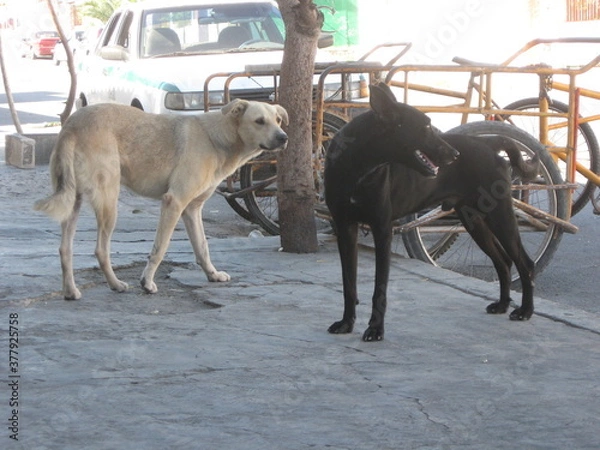Obraz Mexiko - Cancun
