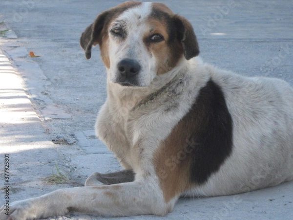 Obraz Mexiko - Cancun