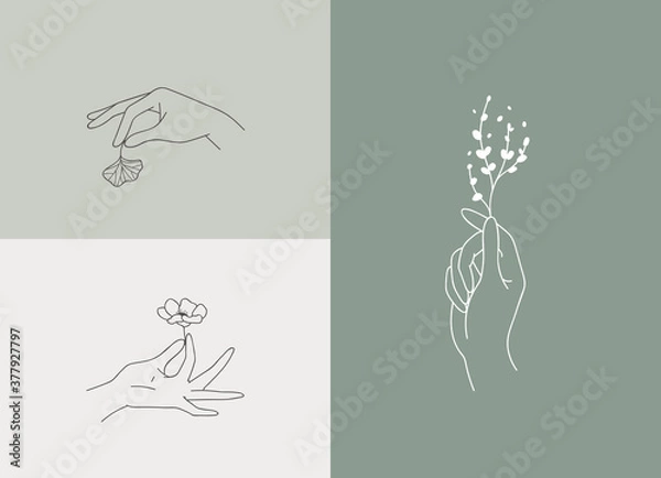 Fototapeta Set of logo designs with hands. Modern template in trendy linear minimal style. Vector abstract emblem