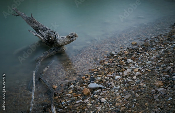 Obraz Al son de las aguas.