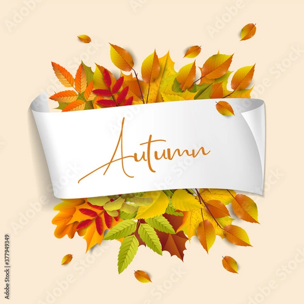 Fototapeta Greetings and gifts for the autumn and autumn season concept. Autumn background, poster and banner template with colorful autumn leaves.