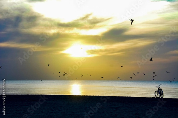 Obraz Sunrise with Birds