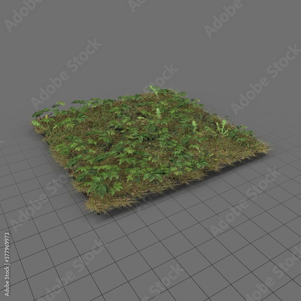 Obraz Łąka jesionowa