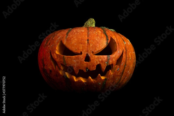 Obraz halloween pumpkin isolated on black background closeup
