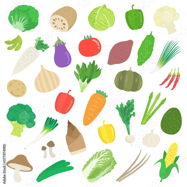 Obraz 野菜のイラストセット