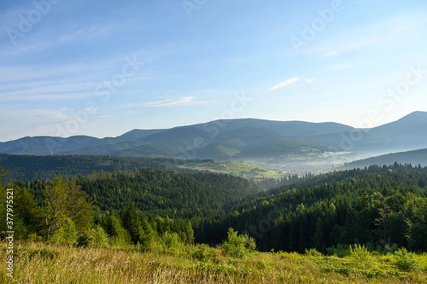 Obraz Carpathian mountains summer sunset landscape with sun and alpine pines
