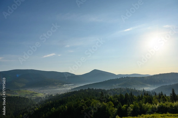 Obraz Carpathian mountains summer sunset landscape with sun and alpine pines