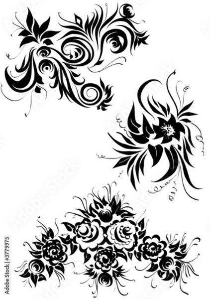 Obraz floral elements