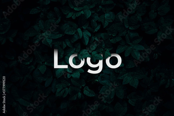 Obraz Leaves pattern with word Logo on black background