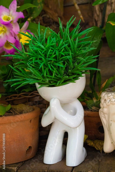 Obraz flower in a pot