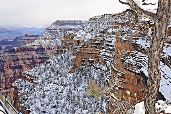 Obraz Grand Canyon Wall