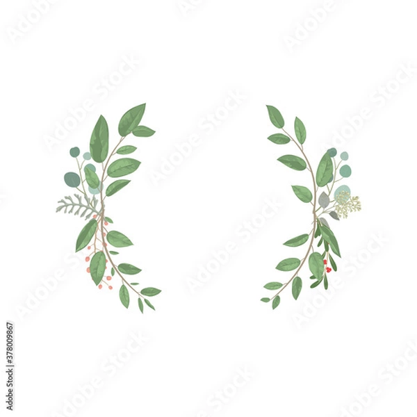 Fototapeta 葉　植物　新緑　緑　円　フレーム