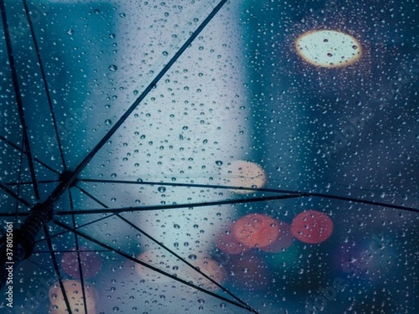 Obraz water drops on a leaf