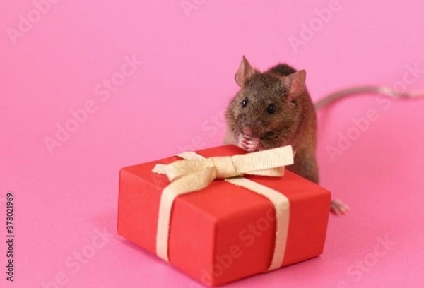 Obraz ネズミとプレゼント