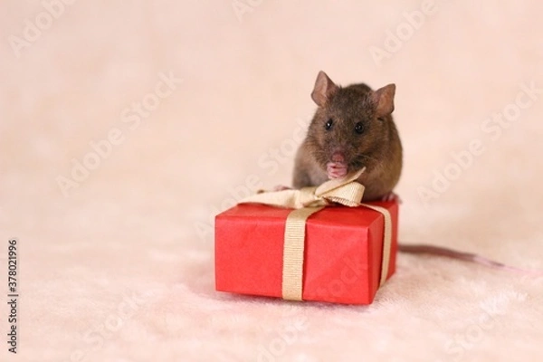 Obraz ネズミとプレゼント