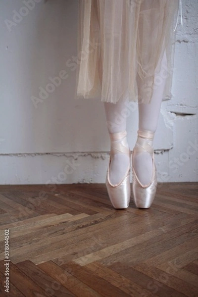 Obraz ballet dancer in shoes