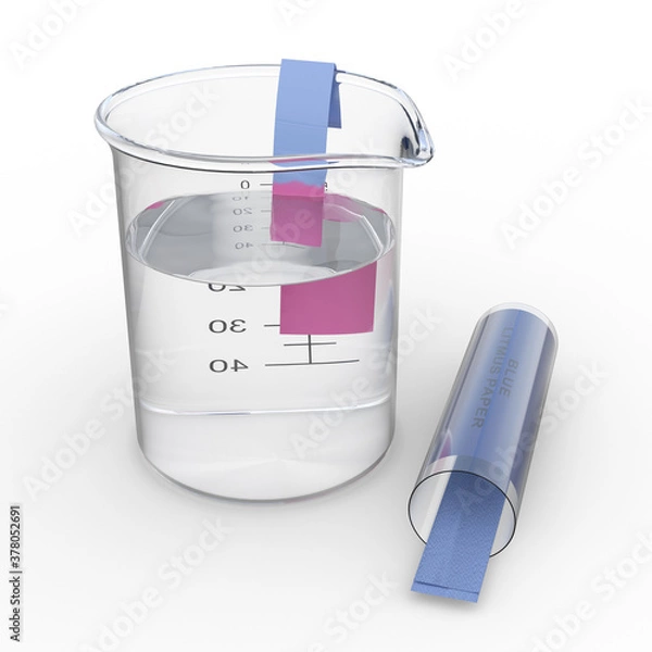 Fototapeta A blue litmus paper dipped into an acid solution in a 50 ml beaker turns red. Isolated on white background. 3D illustration.