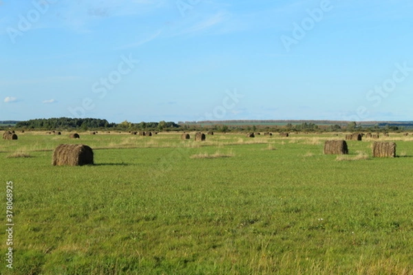Fototapeta Field in Bashkiria with hay billets