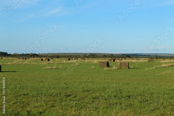 Fototapeta Field in Bashkiria with hay billets