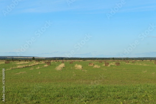 Fototapeta Field in Bashkiria with hay billets