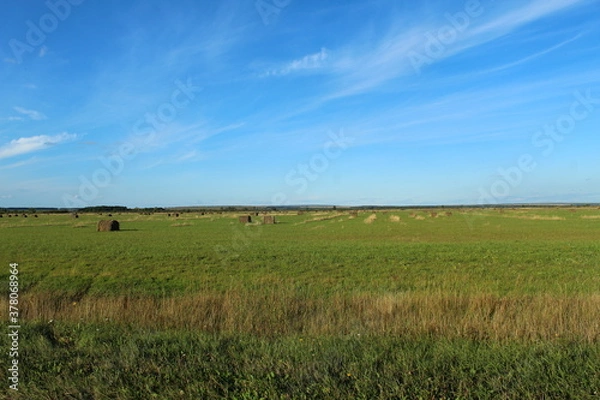 Fototapeta Field in Bashkiria with hay billets