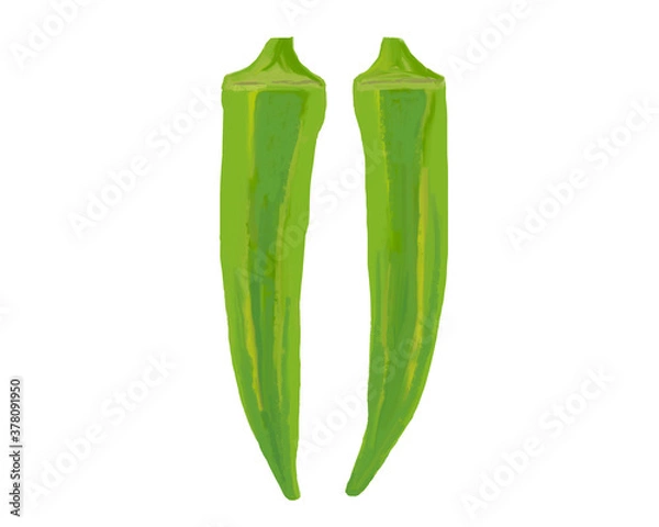 Obraz オクラ　okra