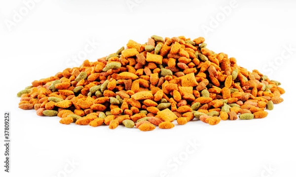 Obraz cat food on white background
