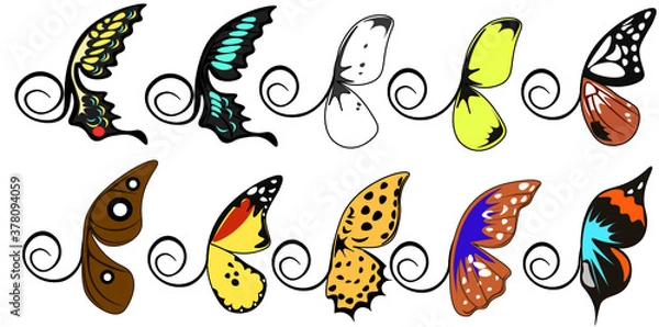 Fototapeta カラフルな蝶