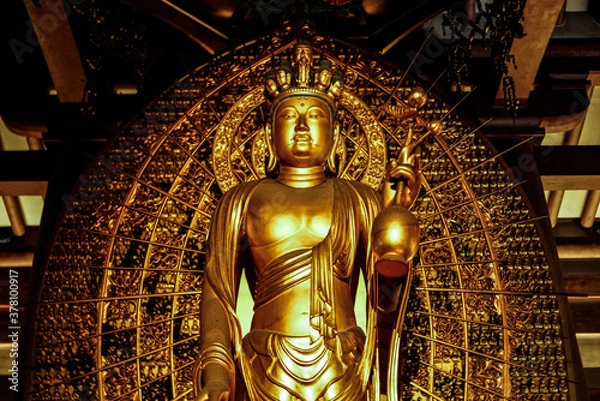 Fototapeta The Buddha.