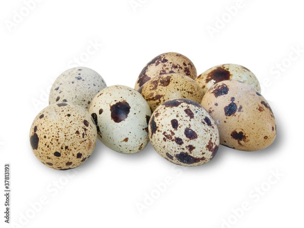 Fototapeta перепелиные яйца