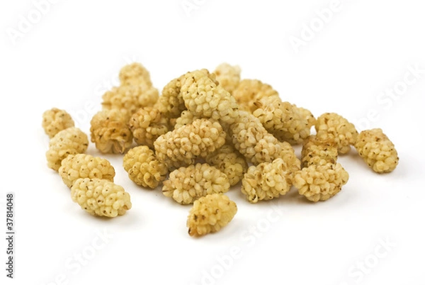 Obraz Dried Mulberries
