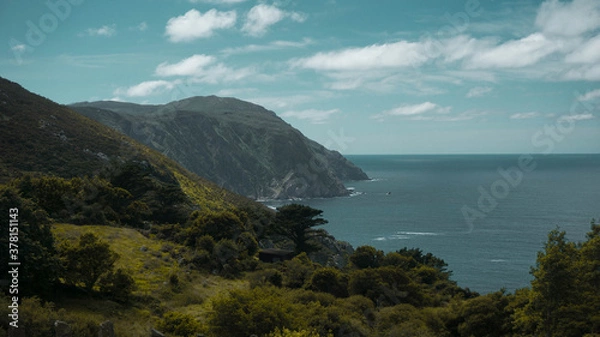 Fototapeta Un acantilado lleno de arboles