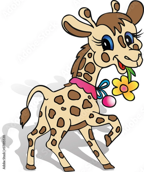 Fototapeta giraffe