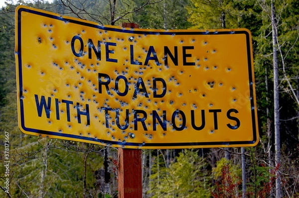 Obraz Bullet the Road Sign