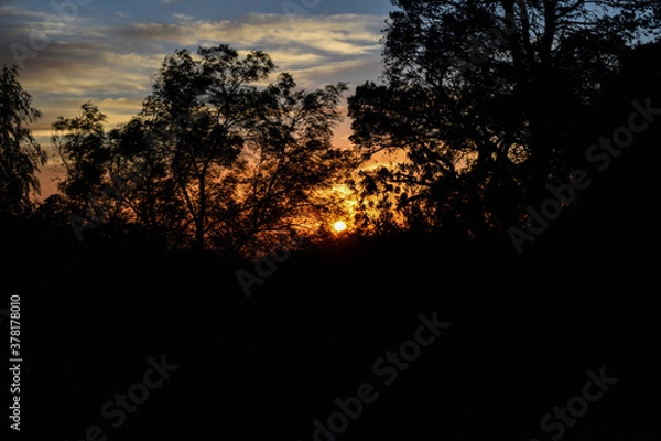 Obraz sunset in the forest