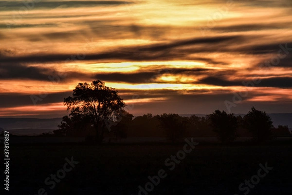 Obraz sunset in the forest