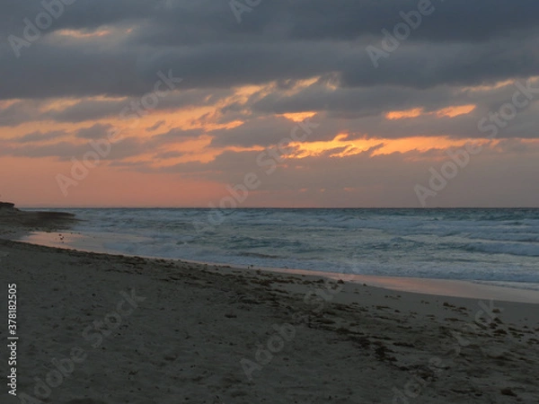 Obraz sunset on the beach