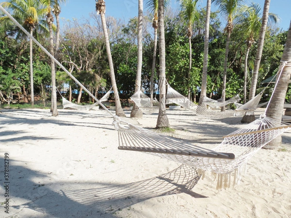 Obraz hammock on the beach