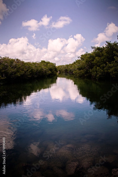 Obraz Florida Waterway