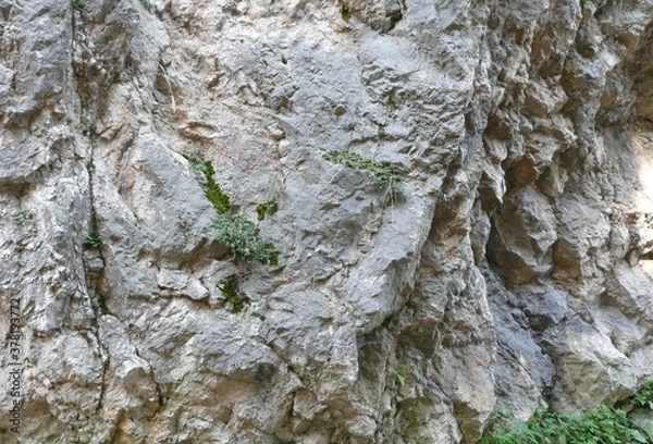 Fototapeta wall texture