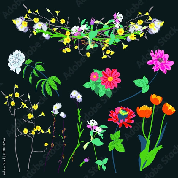 Fototapeta A set of different vector flowers. Wild and garden. Vignette of flowers.