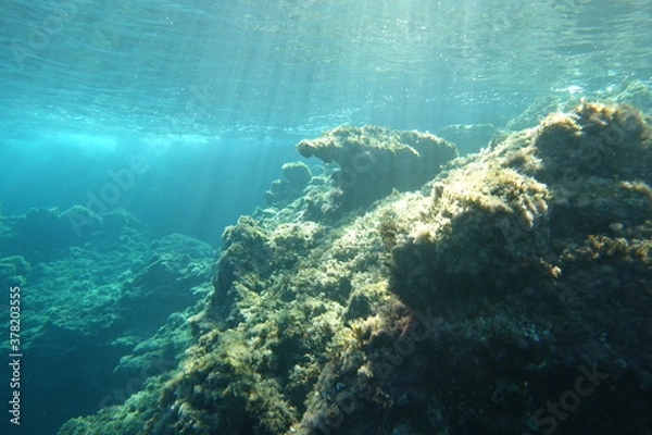 Obraz Cala Sant Visenç, Pollensa