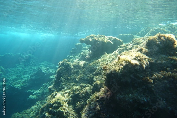 Obraz Cala Sant Visenç, Pollensa