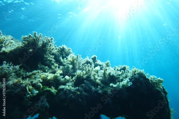 Obraz Cala Sant Visenç, Pollensa