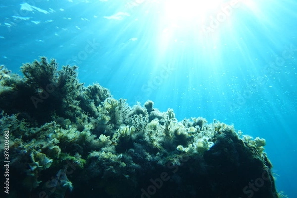 Obraz Cala Sant Visenç, Pollensa