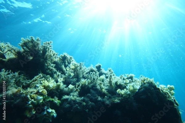 Obraz Cala Sant Visenç, Pollensa