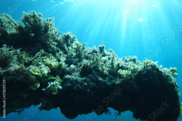 Obraz Cala Sant Visenç, Pollensa
