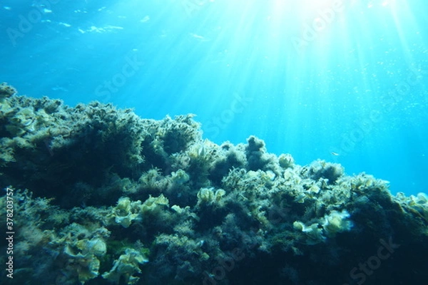 Fototapeta Cala Sant Visenç, Pollensa
