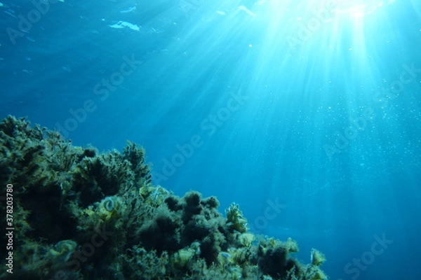 Obraz Cala Sant Visenç, Pollensa